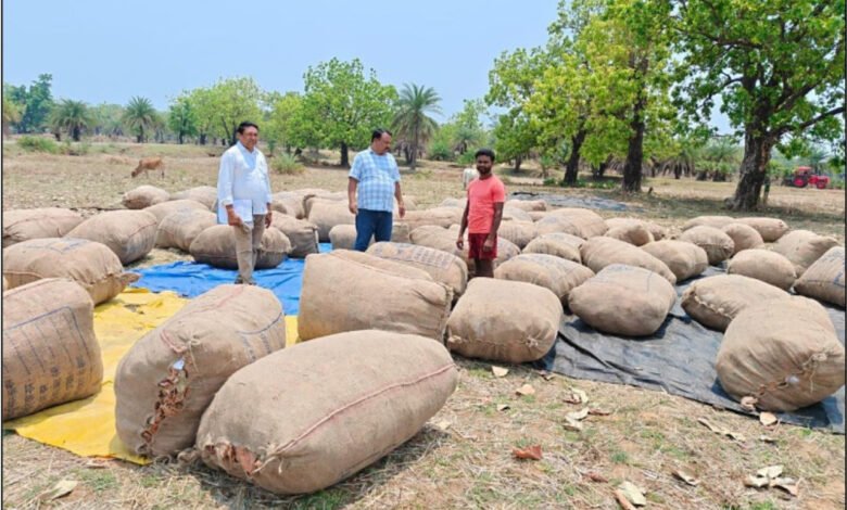 1776845254 230ff357c1c3751be5cb