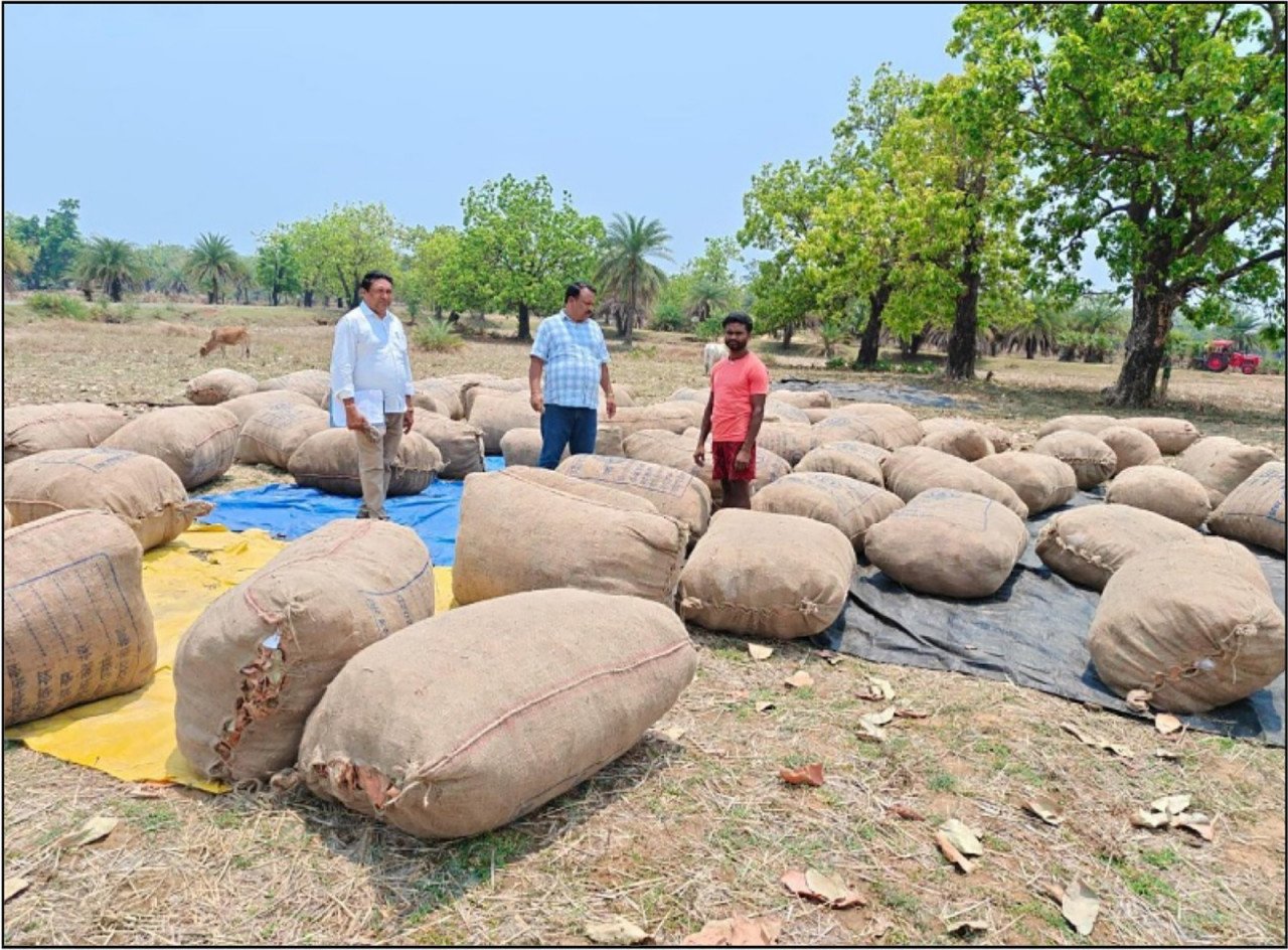 1776845254 230ff357c1c3751be5cb