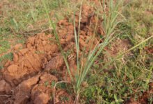 1776848837 50e67b18edc2fd0e79d2