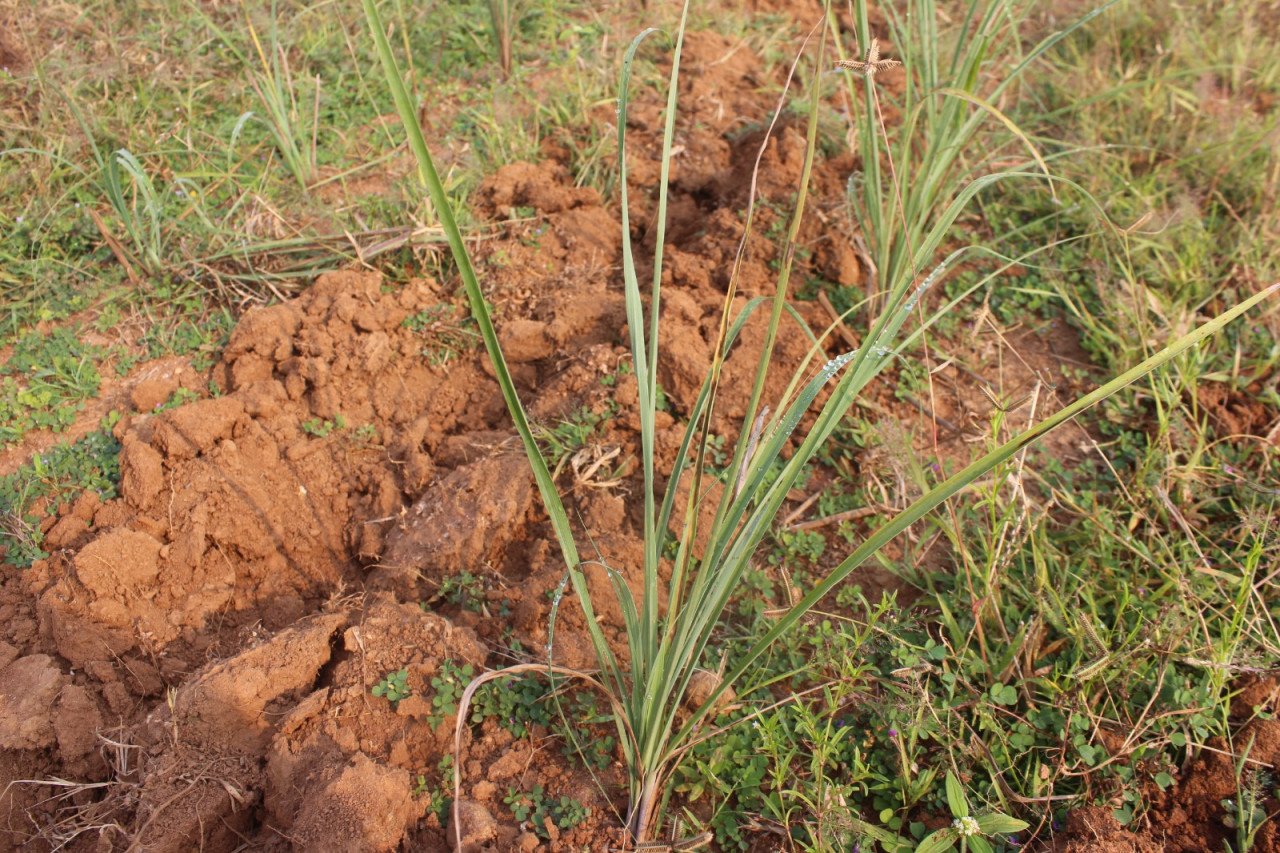 1776848837 50e67b18edc2fd0e79d2