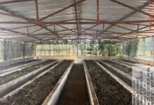 1776849155 0c9d7f94504125eb70a5