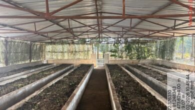 1776849155 0c9d7f94504125eb70a5