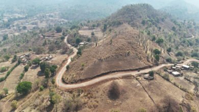 1776960821 a5507b458c5e7da65948