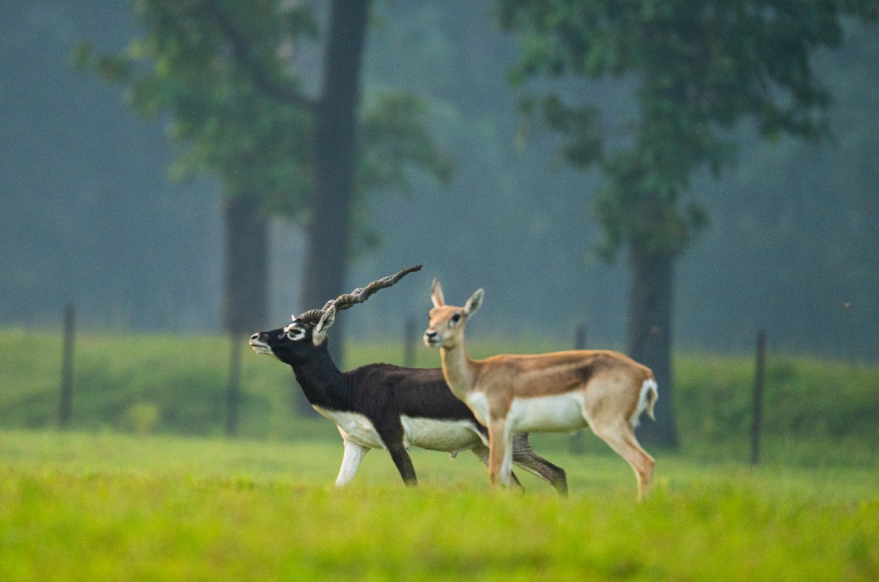 1777209519 2e0da26f1ba8a6fcff75