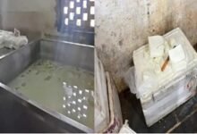 वेडिंग सीजन में खाद्य विभाग की कार्रवाई, दो डेयरियों से 1000 किलो पनीर नष्ट 69 xzzz