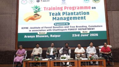 किसानों के लिए नई उम्मीद, टिश्यू कल्चर तकनीक बढ़ाएगी उत्पादन और मुनाफा: केदार कश्यप 2 23A 237 1