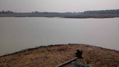 बांध में पलटी 9 लोगों से भरी नाव, 3 ग्रामीण लापता; रातभर चला रेस्क्यू ऑपरेशन 7 Chhattisgarh News 02 2 19