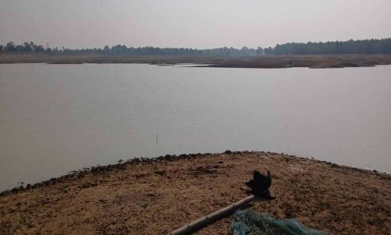 Chhattisgarh News 02 2 19