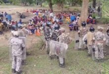Chhattisgarh News 05 2 25
