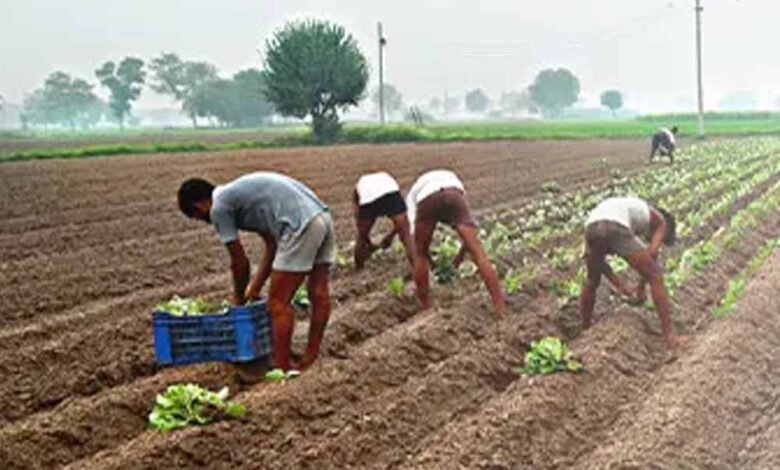 Chhattisgarh News 05 3 17