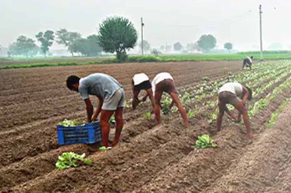 दीनदयाल योजना का लाभ: पात्र भूमिहीन परिवारों को 10 हजार रुपये की आर्थिक सहायता 1 Chhattisgarh News 05 3 17
