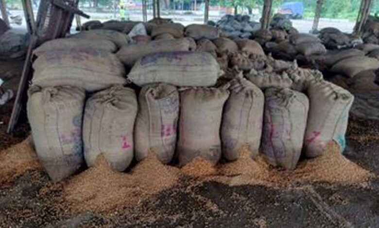 राजनांदगांव की मंडी बनी तालाब, जलभराव से भीगा चबूतरे पर रखा धान 5 Chhattisgarh News 08 3 16