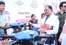 Chhattisgarh News 11 3 10