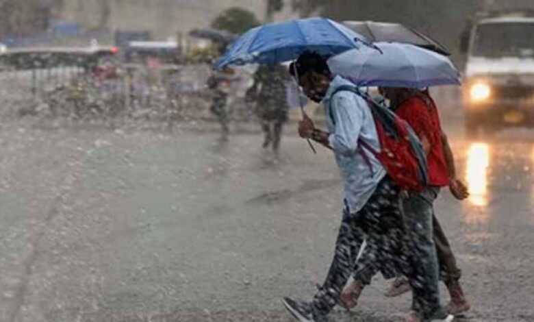 rain 7