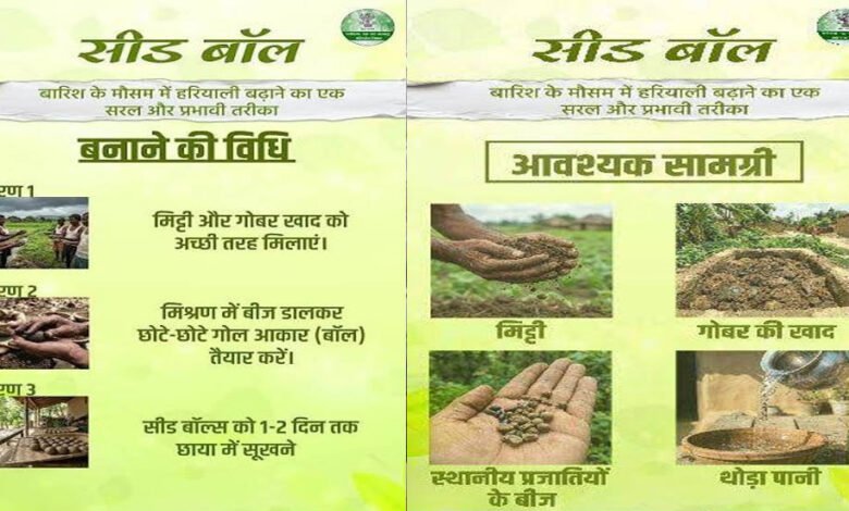 सीड बॉल अभियान से हरित छत्तीसगढ़ का सपना साकार, जनभागीदारी से बढ़ रही हरियाली 7 22A 176 2