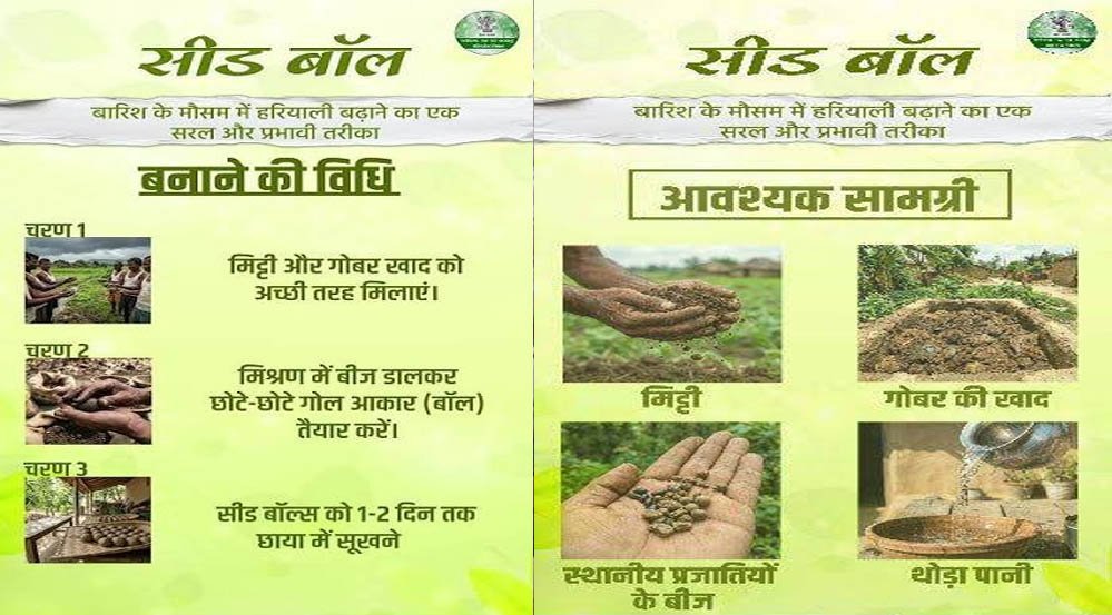 सीड बॉल अभियान से हरित छत्तीसगढ़ का सपना साकार, जनभागीदारी से बढ़ रही हरियाली 1 22A 176 2