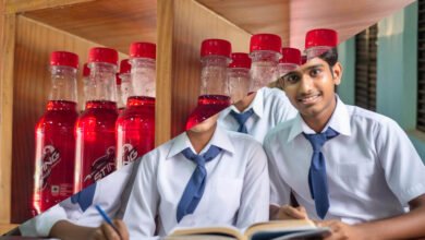 School Zone में Sting पर प्रतिबंध, महाराष्ट्र सरकार का बड़ा कदम; बच्चों में बढ़ती खपत बनी वजह 2 3A 133
