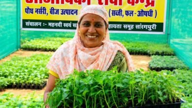 नर्सरी से सशक्त हो रहे किसान और महिला समूह 2 Ajivika 03