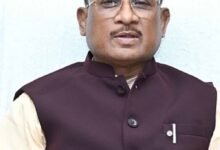 Chhattisgarh News 02 3 19