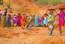 Chhattisgarh News 03 3