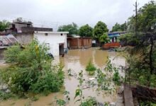 Chhattisgarh News 03 3 23