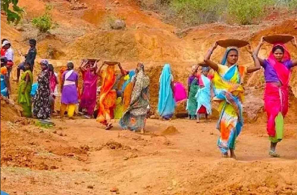 Chhattisgarh News 03 3