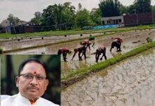 Chhattisgarh News 04 2 1