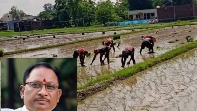 कमजोर मानसून के बीच CM साय का बड़ा संदेश, किसानों से बोले- बारिश के अनुसार करें खेती, सरकार देगी पूरा सहयोग 2 Chhattisgarh News 04 2 1