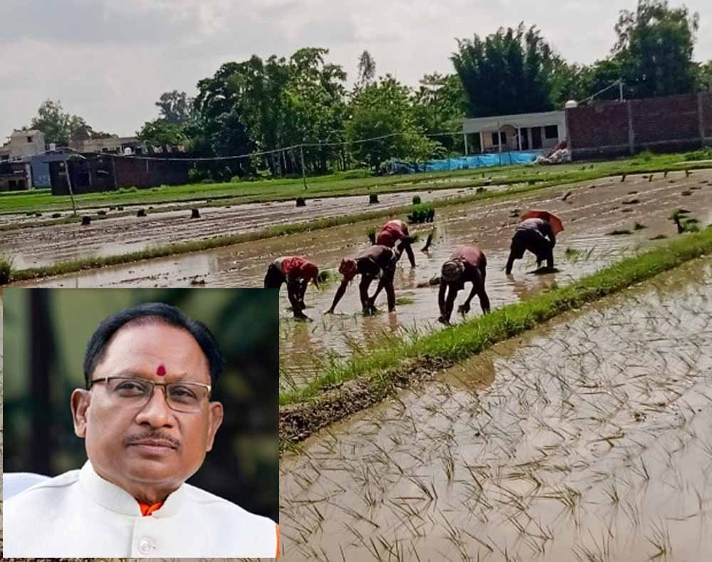 कमजोर मानसून के बीच CM साय का बड़ा संदेश, किसानों से बोले- बारिश के अनुसार करें खेती, सरकार देगी पूरा सहयोग 1 Chhattisgarh News 04 2 1