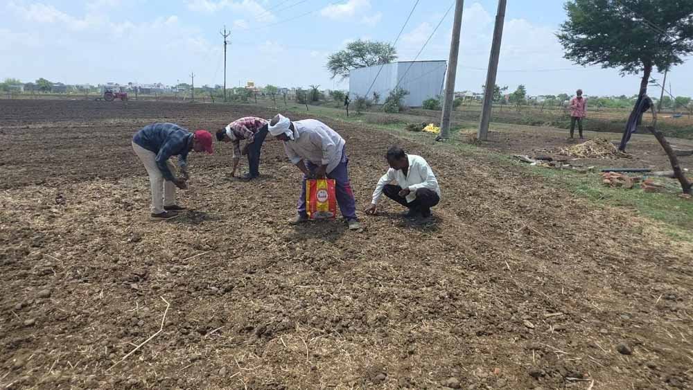 बस्तर में बारिश नहीं होने से खेती पर संकट, सूखे के डर ने किसानों की बढ़ाई चिंता 1 Chhattisgarh News 06 2 12