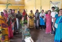 Chhattisgarh News 06 2 21
