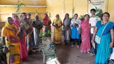 Chhattisgarh News 06 2 21