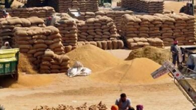 दुर्ग: धान खरीदी में अनियमितता उजागर, समिति प्रबंधक के खिलाफ दर्ज हुआ अपराध 2 Chhattisgarh News 06 3 11