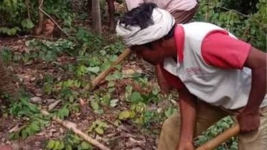 अबूझमाड़ की बदलेगी तस्वीर! जंगलों में महकेगी कॉफी, ओडिशा में प्रशिक्षण लेंगे अधिकारी 3 Chhattisgarh News 07 1 3