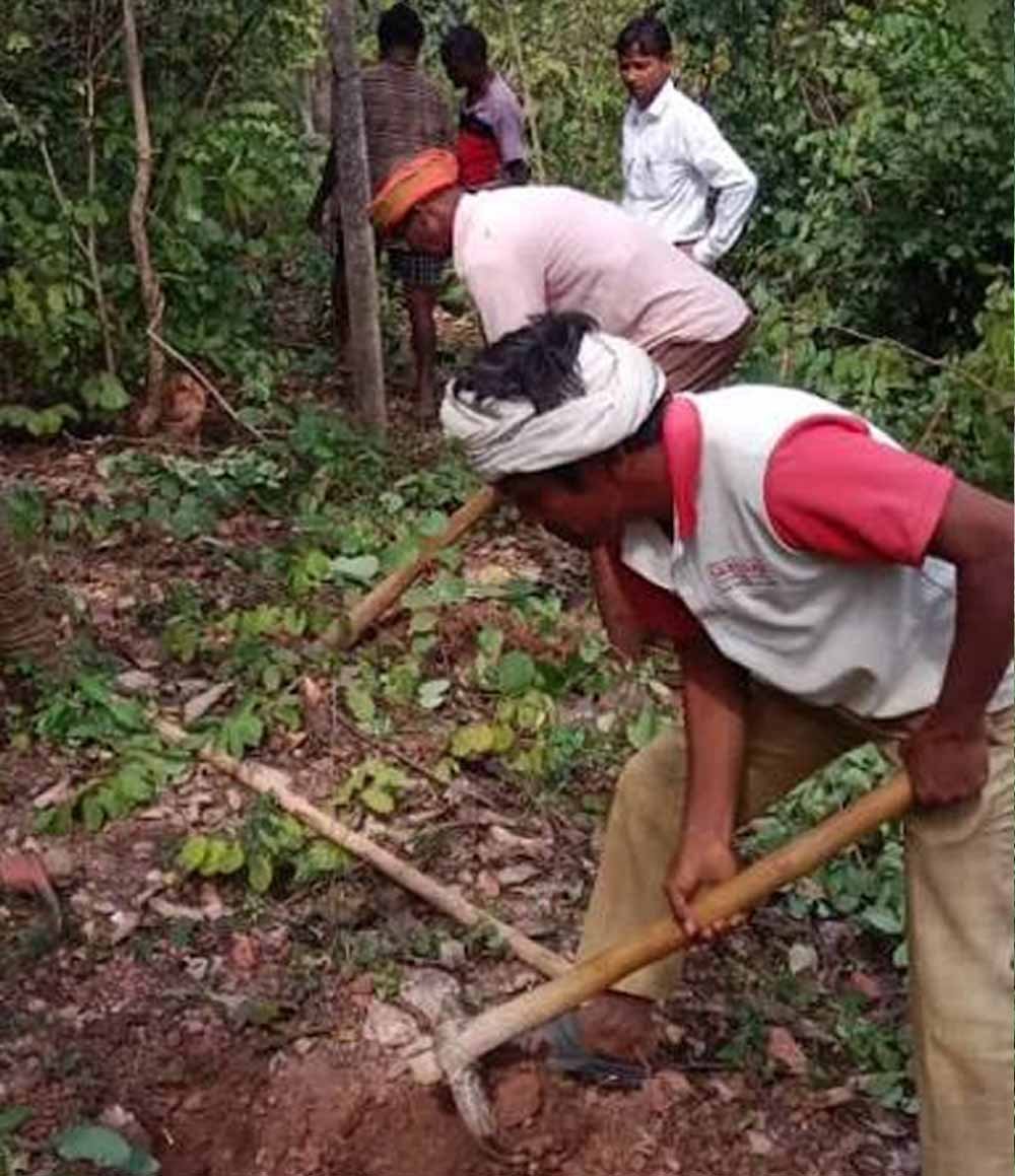अबूझमाड़ की बदलेगी तस्वीर! जंगलों में महकेगी कॉफी, ओडिशा में प्रशिक्षण लेंगे अधिकारी 1 Chhattisgarh News 07 1 3