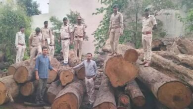 कोरबा में वन विभाग की बड़ी कार्रवाई, 206 साल के पेड़ों की लकड़ी जब्त, आरोपी गिरफ्तार, आरा मिल सील 8 Chhattisgarh News 07 2 14