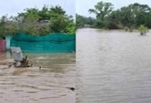 Chhattisgarh News 08 3 19