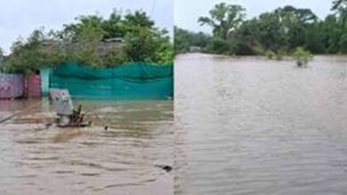 Chhattisgarh News 08 3 19