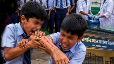 CG News: स्कूल में छात्र के काटने से 12 बच्चे प्रभावित, स्वास्थ्य विभाग ने शुरू की जांच 2 Chhattisgarh News 10 2 7