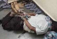 Chhattisgarh News 11 3 2