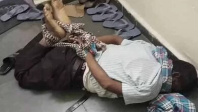 Chhattisgarh News 11 3 2