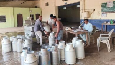 अब सिर्फ धान नहीं, डेयरी में भी बनेगा अग्रणी—छत्तीसगढ़ की नई पहचान 3 Duth 01 1