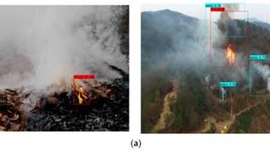 एआई आधारित अलर्ट सिस्टम से जंगलों की सुरक्षा हुई और मजबूत 2 Fire 03