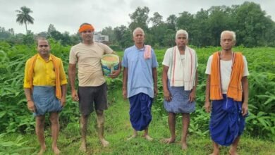कम लागत, बेहतर गुणवत्ता और बढ़ती मांग से किसानों का बढ़ा भरोसा 2 Khet 02 2