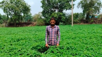 मिट्टी की उर्वरता बढ़ाने और लागत घटाने की दिशा में बना प्रेरक उदाहरण 3 Kheti 2