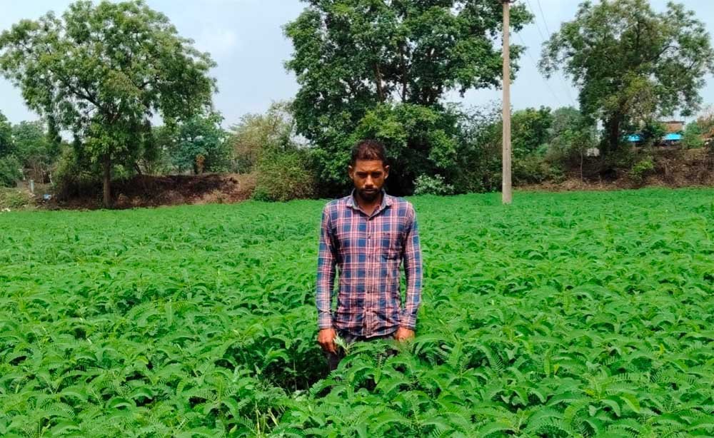 मिट्टी की उर्वरता बढ़ाने और लागत घटाने की दिशा में बना प्रेरक उदाहरण 1 Kheti 2