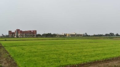 विलंबित मानसून के बीच धान किसानों के लिए आईसीएआर-एनआईबीएसएम की विशेष सलाह 4 Kisan 01 4