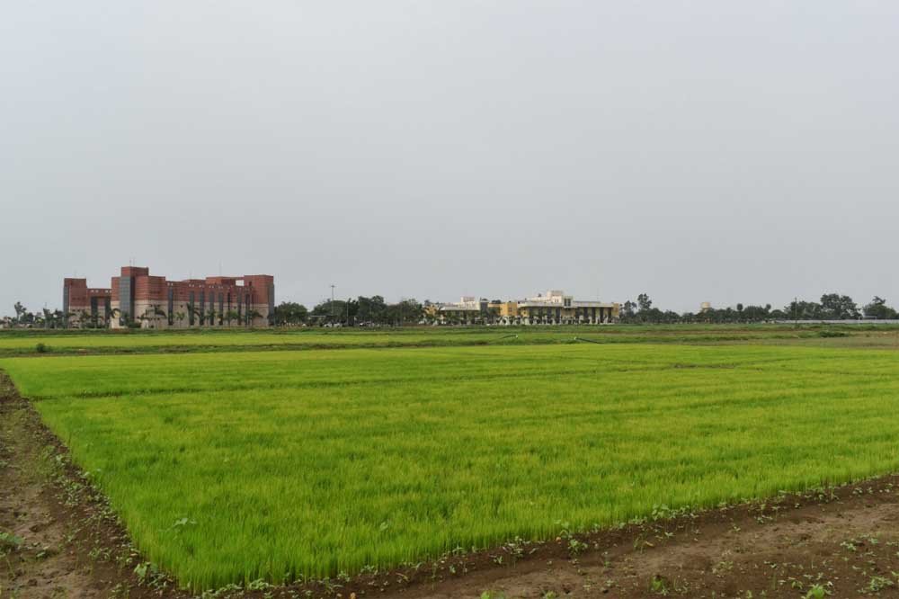 Kisan 01 4