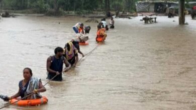 महासमुंद में बड़ा हादसा टला, उफनते नाले से 14 मजदूरों को सैनिकों ने सुरक्षित बचाया 3 Maha 01 2