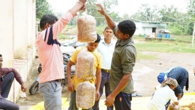 मशरूम उत्पादन सीखकर सशक्त हो रहे ग्रामीण, सुकमा में रोजगार के नए अवसर 4 Mashrum 03